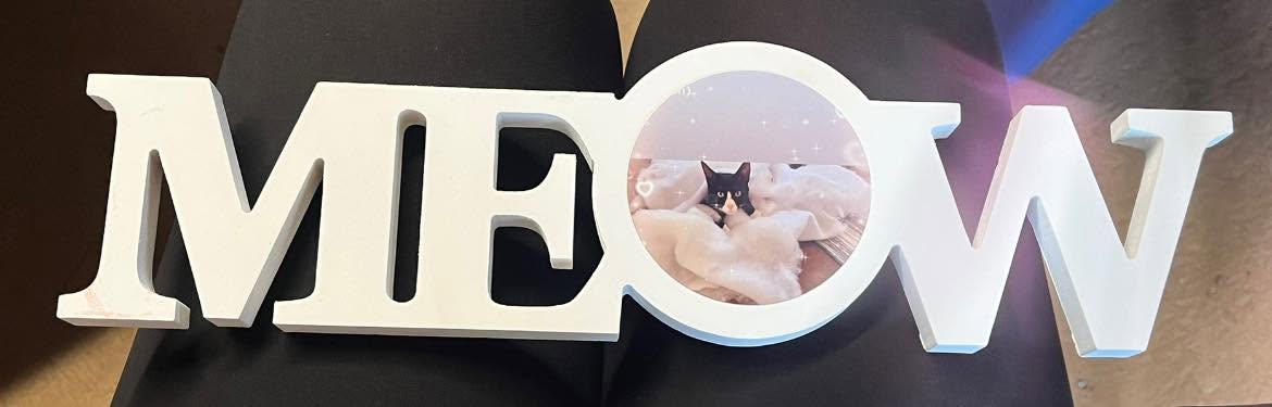 Personalized MEOW cat photo decoration